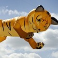 Layangan Bentuk Harimau Raksasa