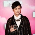 Chris Lee di Red Carpet MTV EMAs 2013