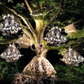 Kirsty Mitchell Membuat Galeri Wonderland Sejak Tahun 2009 Sampai 2013