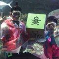 Dua Orang Penyelam Meriahkan Imlek di Akuarium Seoul