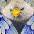 Hiasan Burung Elang Raksasa Meriahkan Karnaval Rio de Janeiro 2014