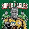 Poster Piala Dunia 2014 versi Nigeria