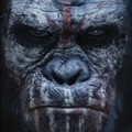 Poster Film 'Dawn of the Planet of the Apes'