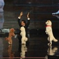 Penampilan Lovly Dog di Grand Final 'Indonesia's Got Talent'