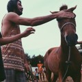 Reza Rahadian Latihan dengan Kuda di Film 'Pendekar Tongkat Emas'
