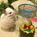 BuBu Senang Difoto dengan Cocktails