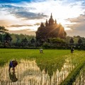 Keindahan Candi Plaosan Saat Matahari Terbit di Yogyakarta