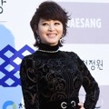 Kim Hye Soo di Red Carpet Blue Dragon Awards 2014