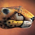 Handimals Bentuk Leopard