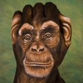 Handimals Karya Guido Daniele Berbentuk Simpanse
