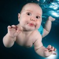 Pemotretan Bayi di Bawah Air Karya Seth Casteel