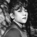 Baekhyun EXO di Teaser Album 'Exodus'