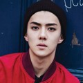 Sehun EXO di Teaser Album 'Exodus'