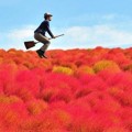 Foto Melayang dengan Sapu Terbang di Tengah Padang Rumput