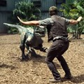 Owen Grady Bersama Kelompok Velociraptor yang Ia Latih