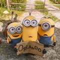 Trio Minion Berjuang Mendapatkan Tumpangan Menuju Orlando
