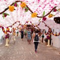Indahnya Kota Campo Maior Saat Festival Bunga