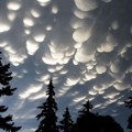 Foto Asli Tampak Tak Nyata Awan Mammatus