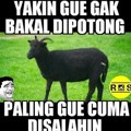 Derita Kambing Hitam di Hari Raya Kurban 2015