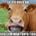 Selfie Sapi Sebelum Disembelih