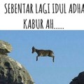 Kambing Ini Mencoba Kabur