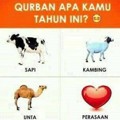 Kurban Apa Anda Tahun Ini?