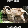 Kambing Ini Pilih Diet