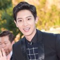 Chanyeol EXO di Red Carpet Korea Drama Awards 2015