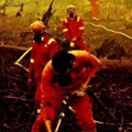 Para Relawan Saat Proses Pemadaman