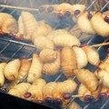 Berprotein Tinggi, Ulat Sagu Ini Jadi Makanan Khas Warga Papua