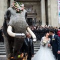 Pasangan Gelar Pernikahan di Hari Valentine dengan Gajah