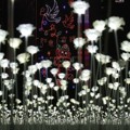 Indahnya 'Light Rose Garden' di Perayaan Valentine 2016 Hong Kong