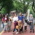 Liburan Seru Raffi Ahmad-Nagita Slavina ke Korea