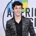 Shawn Mendes hadiri American Music Awards 2017