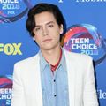 Teen Choice Awards memberikan penghargaan yang terbagi menjadi beberapa jenis kategori. Mulai dari film, musik, serial televisi, hingga olahraga.