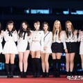 Momoland di Red Carpet Daejong Film Awards 2018