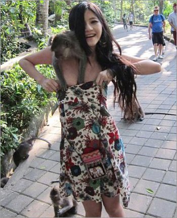 Monyet Nyaris Menelanjangi Model asal Taiwan Saat Berlibur di Bali
