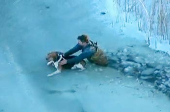 Pria Michigan Terjun Ke Danau Es Demi Seekor Anjing