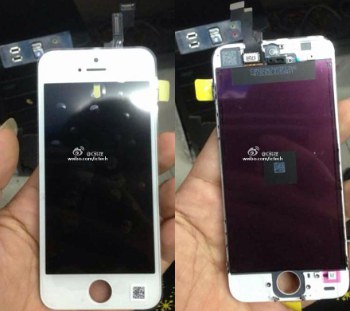 Bocoran Baru Sebut iPhone Murah Punya Kamera 8MP