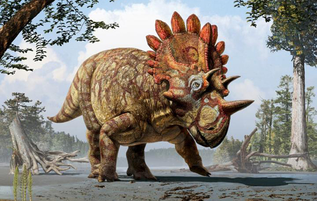 500+ Gambar Dinosaurus Triceratops HD Paling Keren 500+ Gambar Dinosaurus Triceratops HD Paling Keren