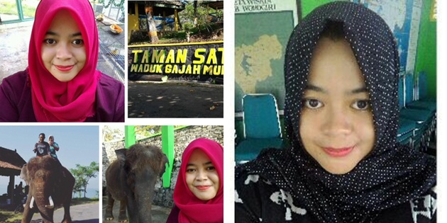 Diinjak Gajah Ngamuk, Dokter Hewan Cantik Ini Langsung Tewas