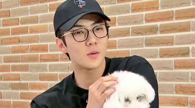 Biasa Bandel Gantian Sehun Exo Dikerjai Anjingnya Saat Siaran V App