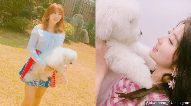 Cinta Anjing, Sohyun Buatkan Akun Instagram Khusus