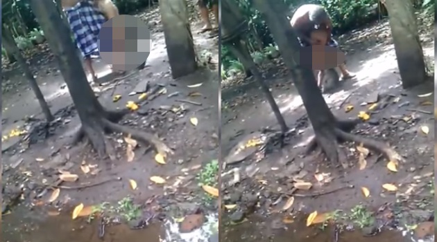 Viral Kakek Tega Umpankan Cucunya ke Monyet, Polisi Langsung Selidiki