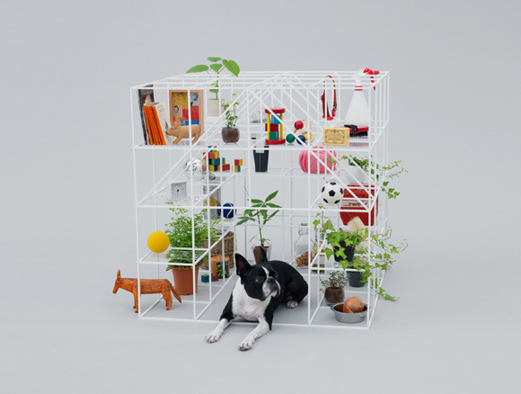 Pameran Kandang Anjing Unik Di Jepang