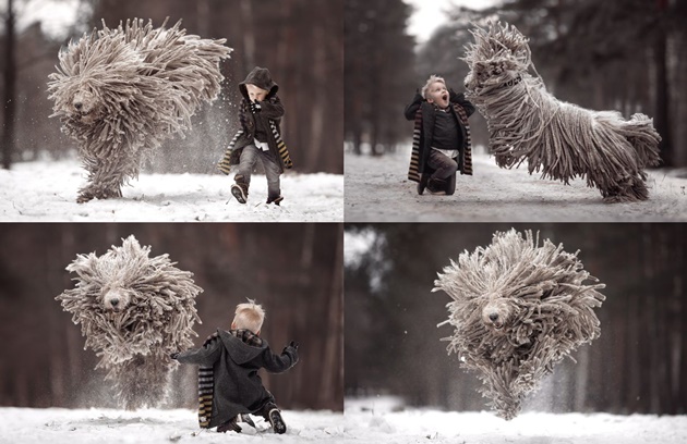 Mirip Kain Pel, Imutnya Anjing Ini Bergaya dengan Bocah 4