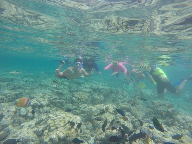 jaga lestari laut