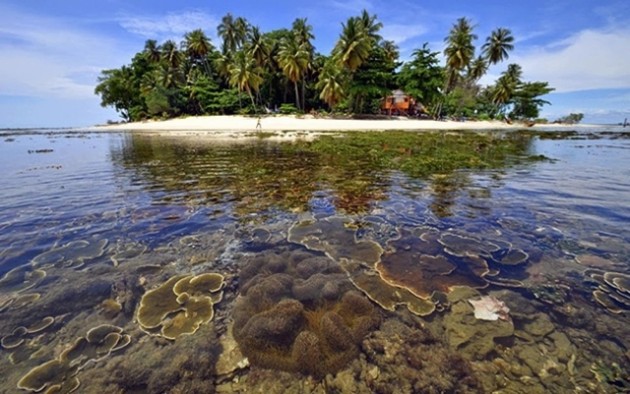 jaga lestari laut