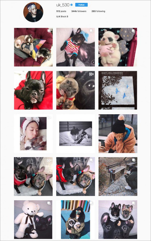 Banyak Unggah Foto Anjing U-kwon Block B Dicibir