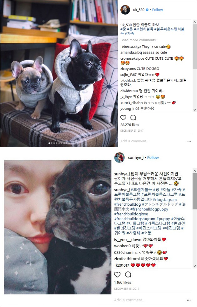 Banyak Unggah Foto Anjing U-kwon Block B Dicibir